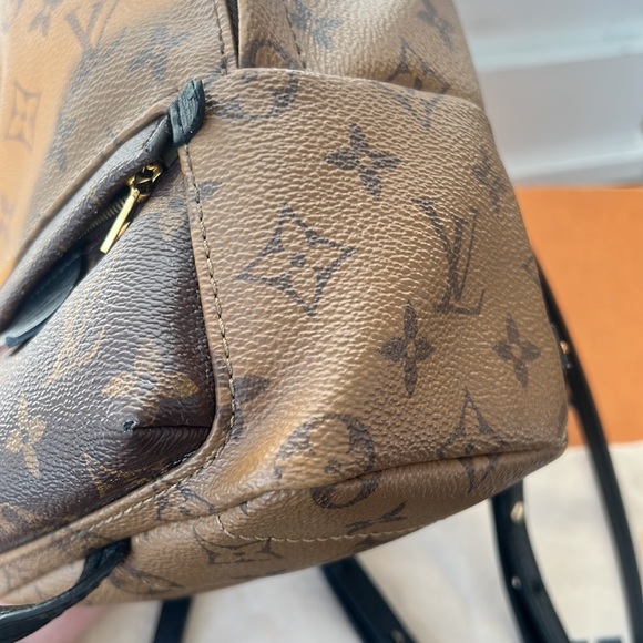 Palm Springs Mini Reverse Monogram - Picture 13 of 17